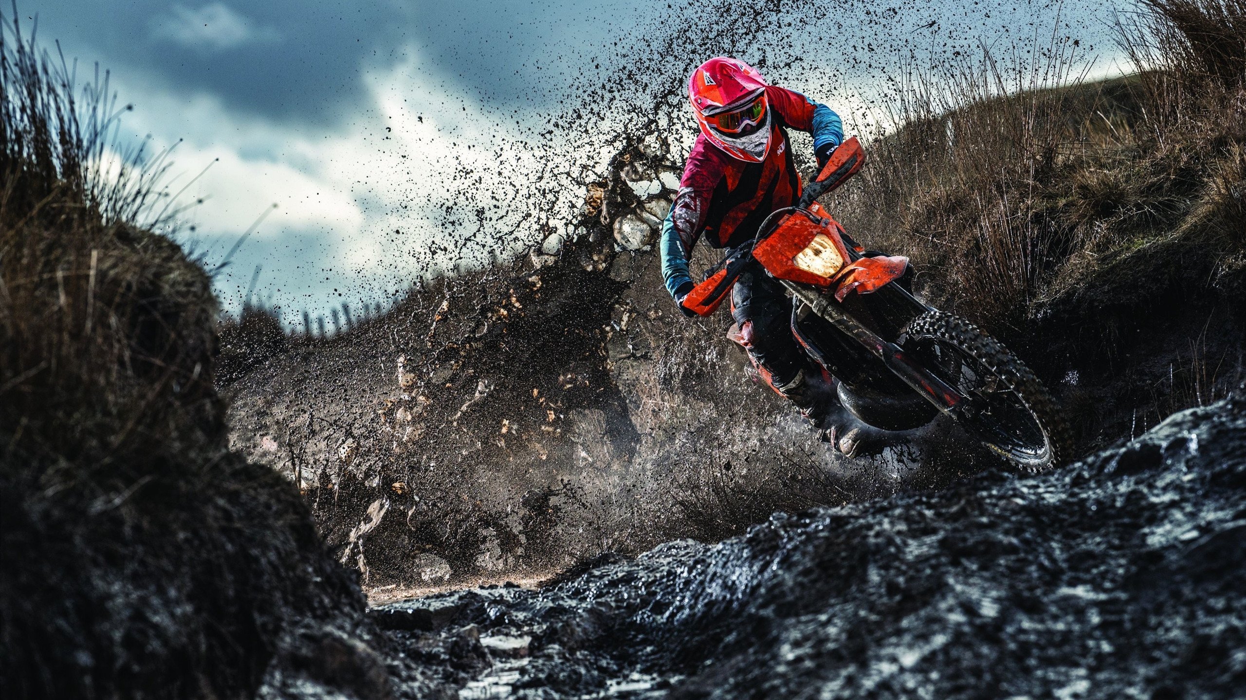 青少年体育竞赛组织策略,青少年竞赛体系