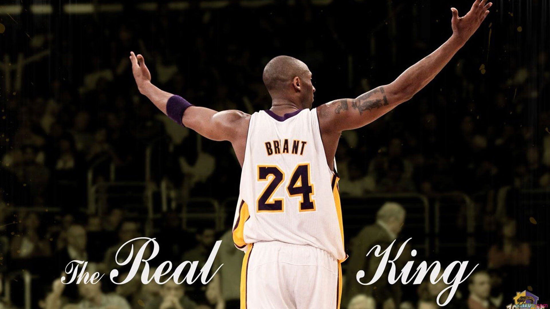 世界杯期间诞生的“足球科学家”概念 在欧冠俱乐部成为新职位名称